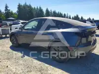 2025 Tesla Model Y photo