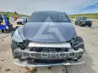 2025 Tesla Model Y photo