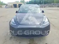 2025 Tesla Model Y photo