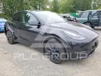 2025 Tesla Model Y photo