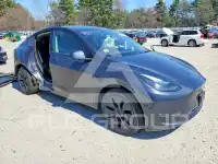 2025 Tesla Model Y photo