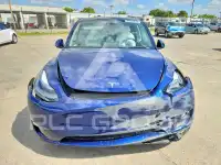 2025 Tesla Model Y photo