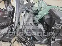 2025 Tesla Model 3 photo
