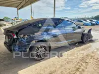 2025 Tesla Model 3 photo