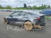 2025 Tesla Model 3 photo