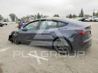 2025 Tesla Model 3 photo