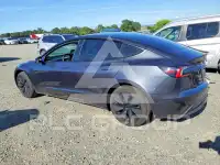 2025 Tesla Model 3 photo