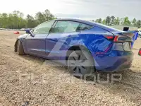 2025 Tesla Model 3 photo