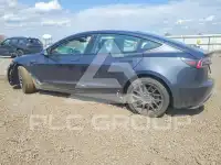2025 Tesla Model 3 photo