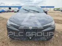 2025 Alfa Romeo Stelvio фото