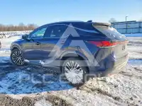 2025 Lexus RX350 photo