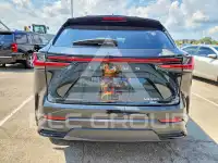 2025 Lexus NX photo