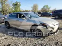 2025 Lexus ES300 photo