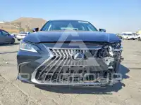 2025 Lexus ES300 фото