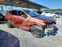 2025 Lexus NX250 photo