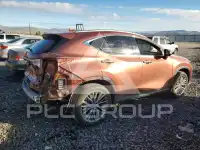 2025 Lexus NX photo