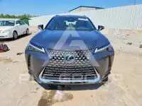 2025 Lexus UX фото