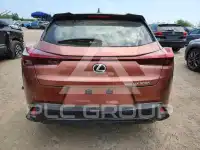 2025 Lexus Other photo