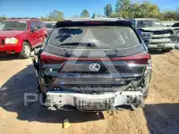 2025 Lexus UX фото