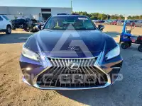 2025 Lexus ES фото