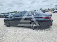 2025 Lexus ES350 фото