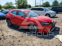 2025 Lexus UX photo