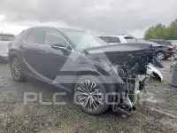 2025 Lexus  photo
