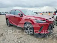 2025 Lexus RX photo
