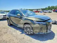 2025 Lexus  photo