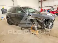 2025 Lexus  фото