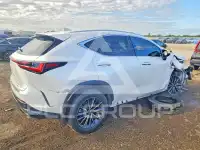 2025 Lexus  photo