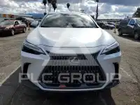 2025 Lexus  фото