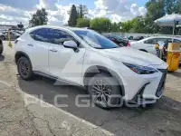 2025 Lexus  фото