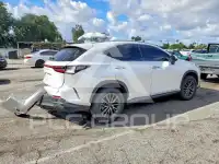 2025 Lexus  фото
