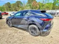 2025 Lexus  фото