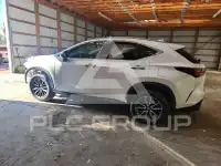 2025 Lexus NX фото