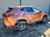 2025 Lexus NX photo