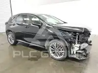 2025 Lexus NX photo