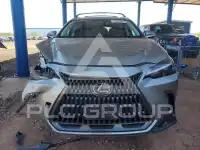 2025 Lexus NX photo