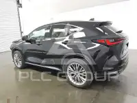2025 Lexus NX photo