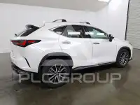 2025 Lexus NX photo