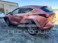 2025 Lexus NX photo