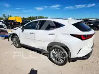 2025 Lexus NX фото