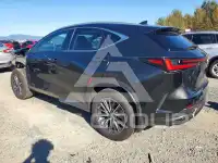 2025 Lexus NX фото