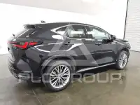 2025 Lexus NX photo