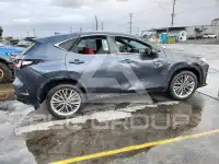 2025 Lexus NX фото