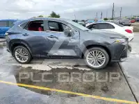2025 Lexus NX фото