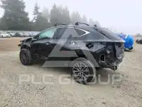 2025 Lexus NX photo