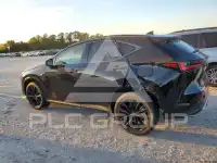 2025 Lexus NX фото