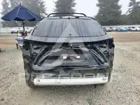 2025 Lexus NX photo